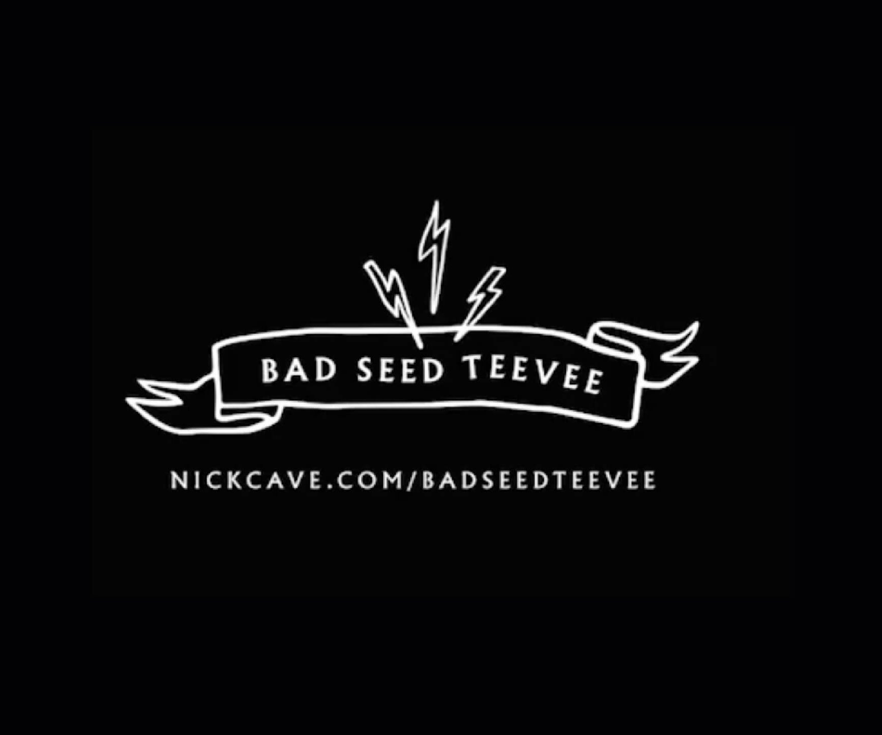 Logo von nickcave.com bad seed teevee